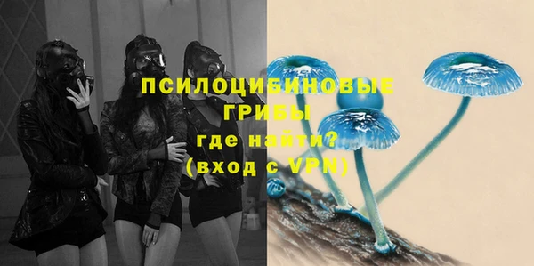 ешки Михайлов