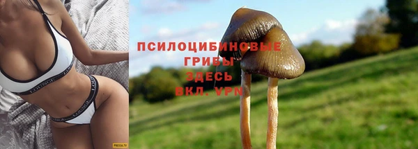 гидра Алексин
