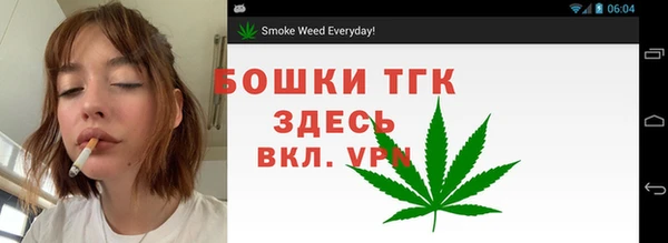 гидра Алексин