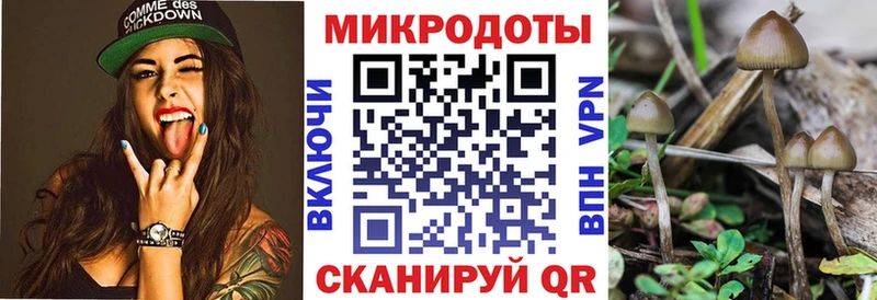 купить закладку Ардатов нарко площадка состав Галлюциногенные грибы Magic Shrooms