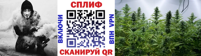 Марихуана VHQ  даркнет сайт  Ардатов 